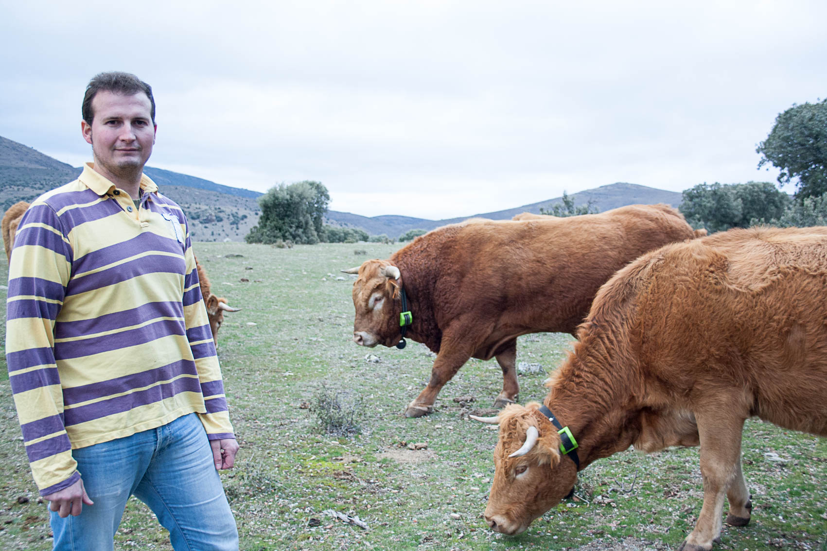 Más allá de la localización
