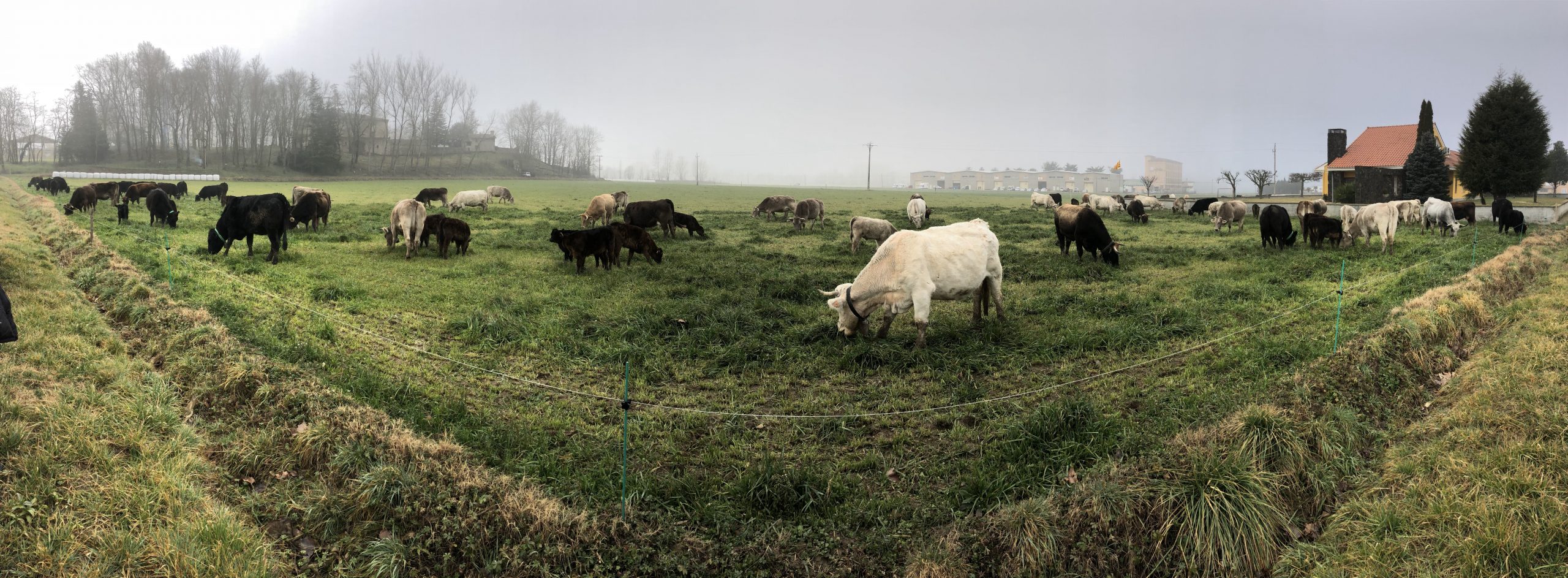 Mujeres ganaderas, piedra angular del futuro del sector
