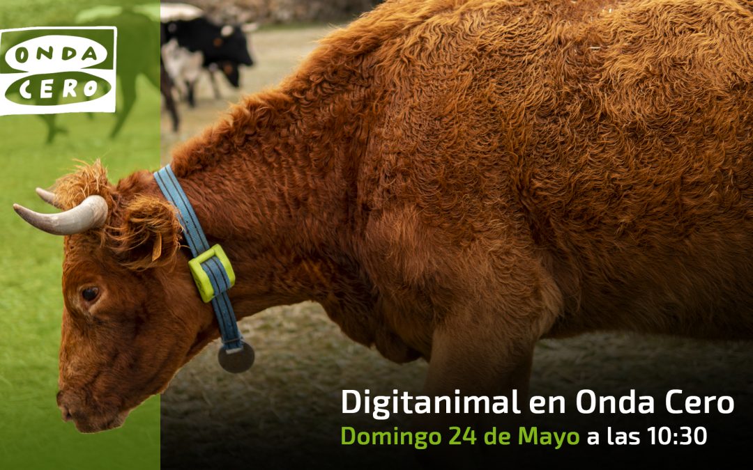 Onda Cero entrevista a Jesús Garzón, presidente de la Asociación Trashumancia y Naturaleza, y a Rubén Blanco