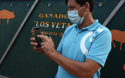 Tres ganaderos nos cuentan su experiencia: del cencerro al collar GPS