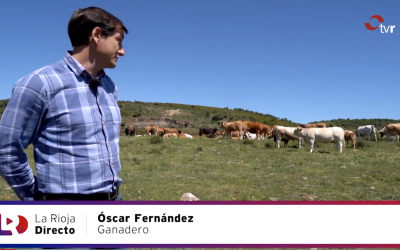 Los collares con GPS de digitanimal, protagonistas en este reportaje de TVR