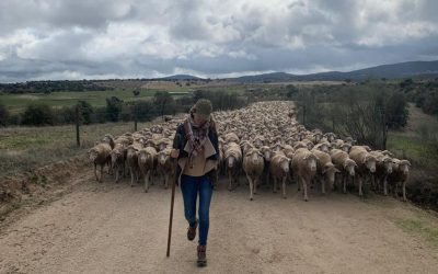 Día Internacional de la mujer con María del Camino, fiel defensora de la oveja merina