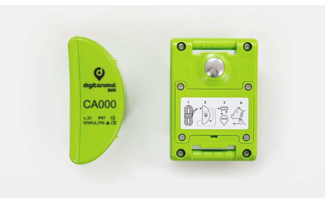 Digitanimal EVO, el nuevo dispositivo GPS para ganado