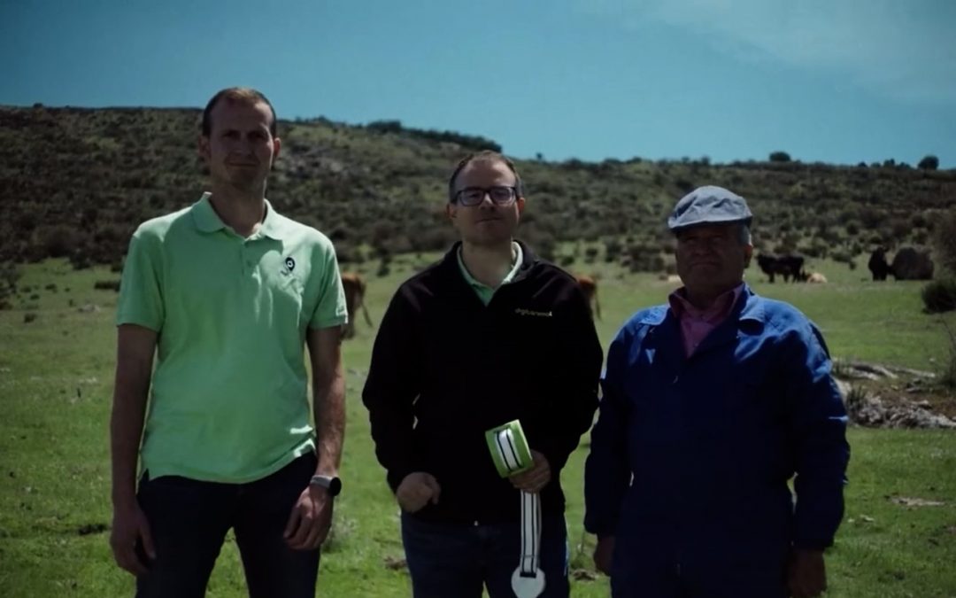 Digitanimal, seleccionada para participar en la campaña del Gobierno sobre el Plan de Recuperación