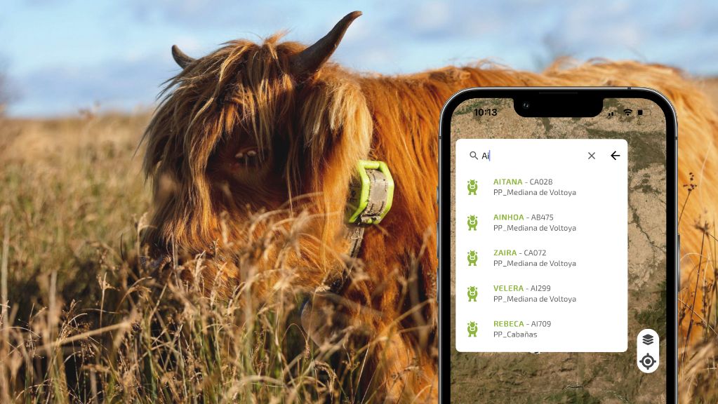 GPS animals tracker Tracking and monitoring livestock