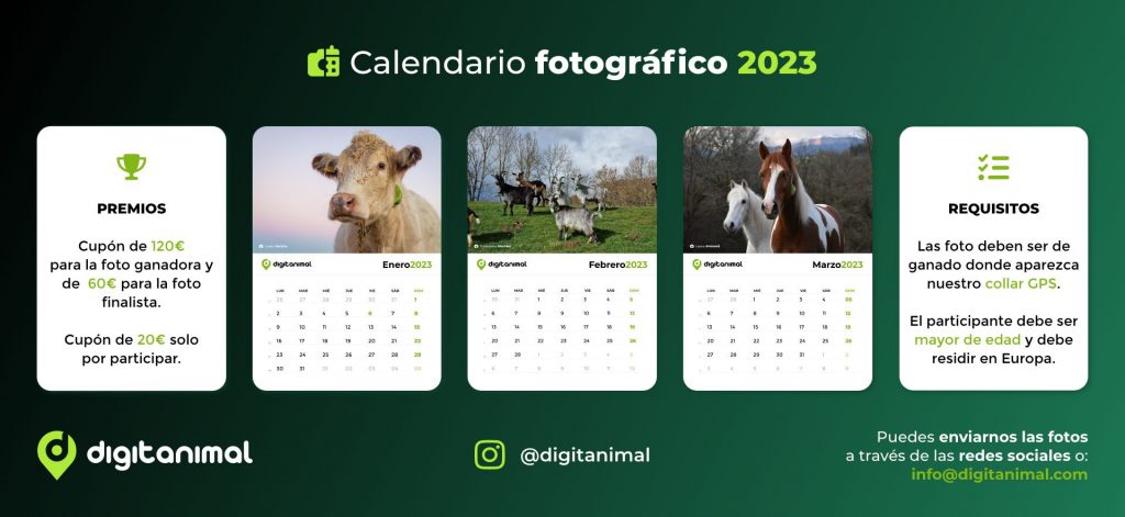 Concurso fotográfico digitanimal 2023