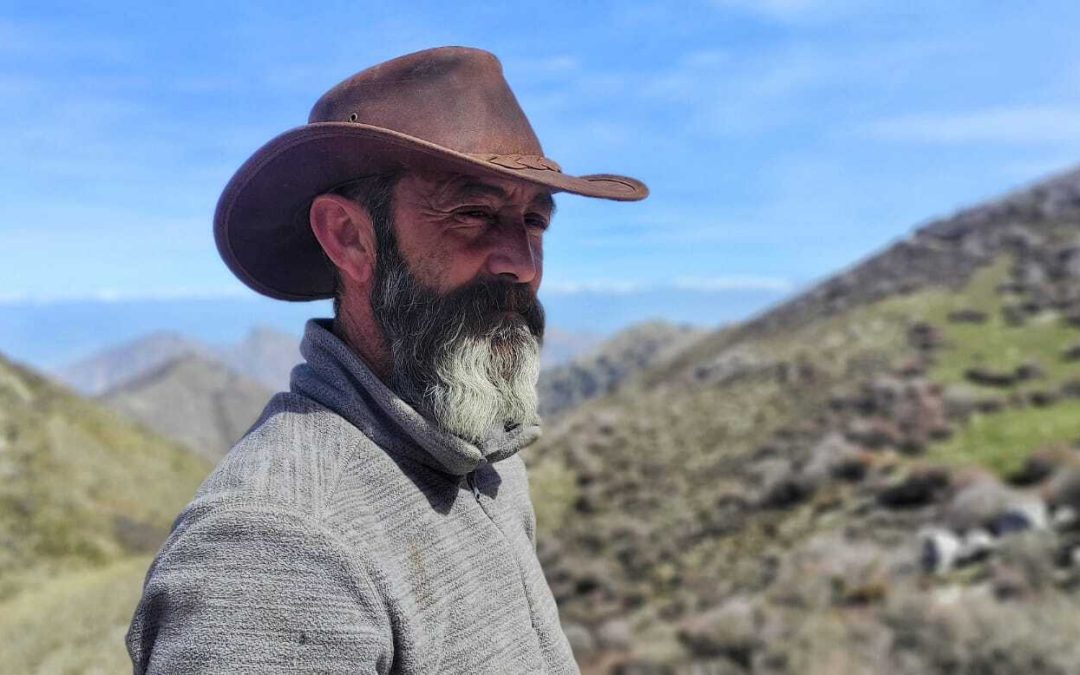 Cabalgando hacia el futuro: cómo el pastoreo a caballo se adapta a los tiempos.