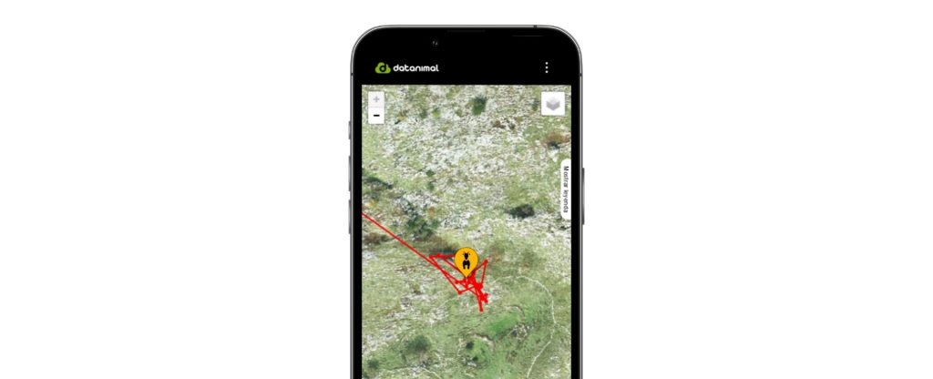 GPS goat tracker