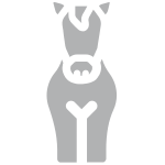 Caballo