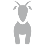 Cabras