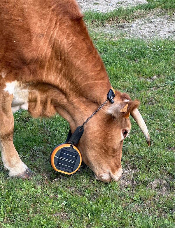 Vallado virtual digitanimal