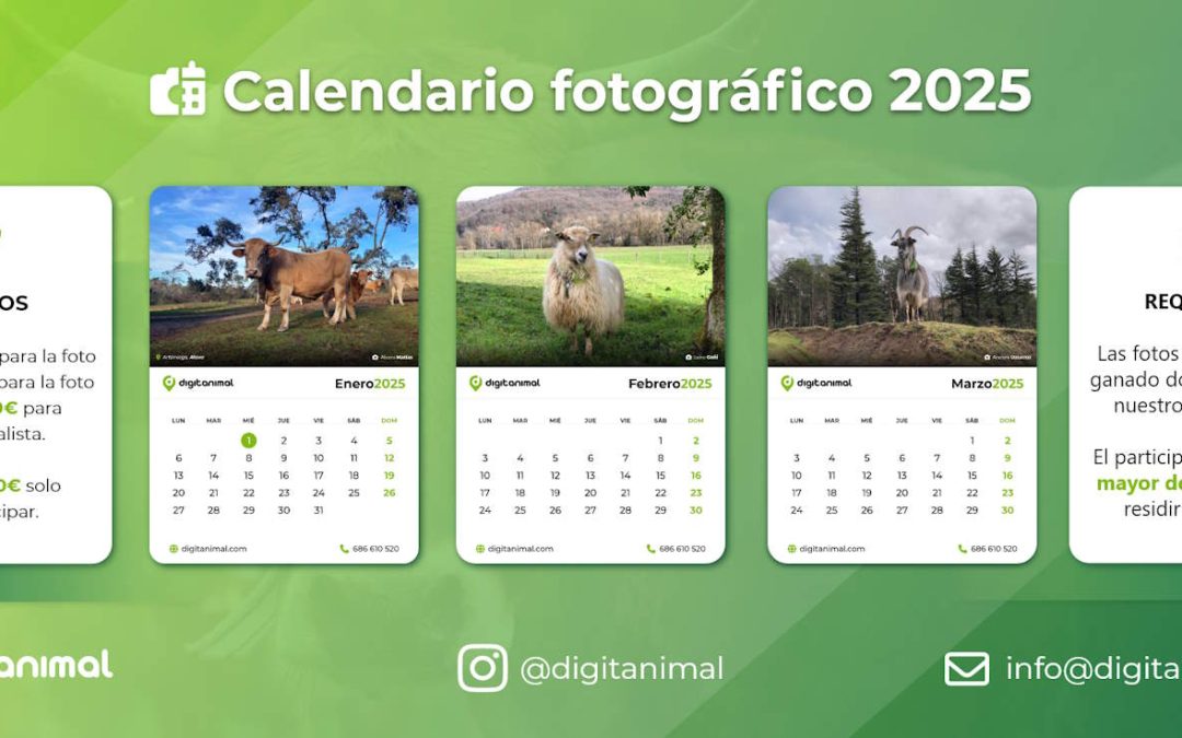 El concurso fotográfico de digitanimal 2025 está de vuelta, ¡con una sorpresa!