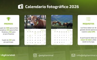 El concurso fotográfico de digitanimal 2026 está de vuelta, ¡con una sorpresa!