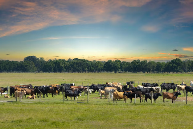 Sostenibilidad ganadera: CarboGan como ejemplo en la lucha contra el CO2
