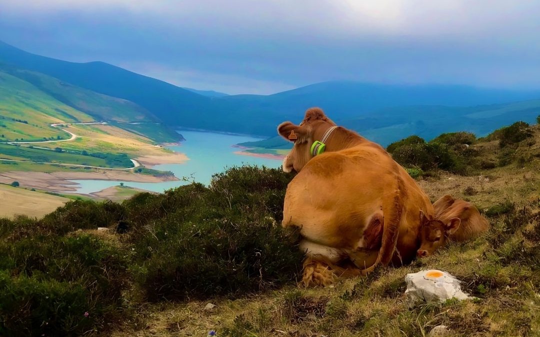 Conociendo a Aitor Saiz, ganador del concurso fotográfico 2024