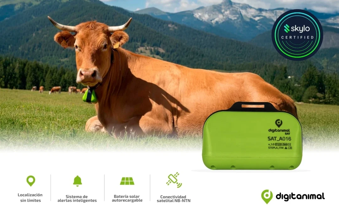 Digitanimal obtiene la certificación Skylo y habilita conectividad satelital NB-NTN global para la monitorización ganadera