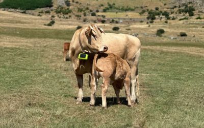 Digitanimal presenta el nuevo GPS satelital para ganado en su 11º aniversario