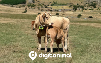Digitanimal presenta el nuevo GPS satelital para ganado en su 11º aniversario