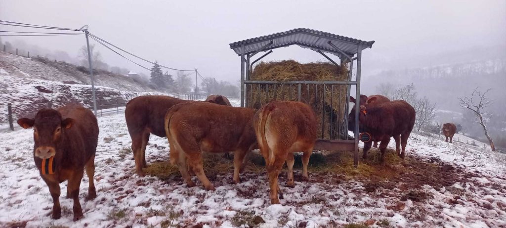 vallado-virtual-digitanimal