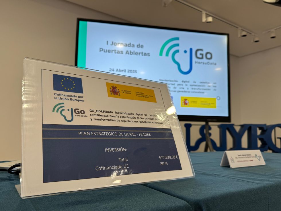 Plan estratégico Go Horse Data