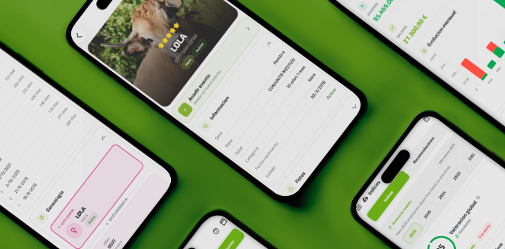 Imagen con varios móviles con la aplicación de Datanimal Gestión Ganadera abierta en distintas partes de la aplicación sobre un fondo verde.