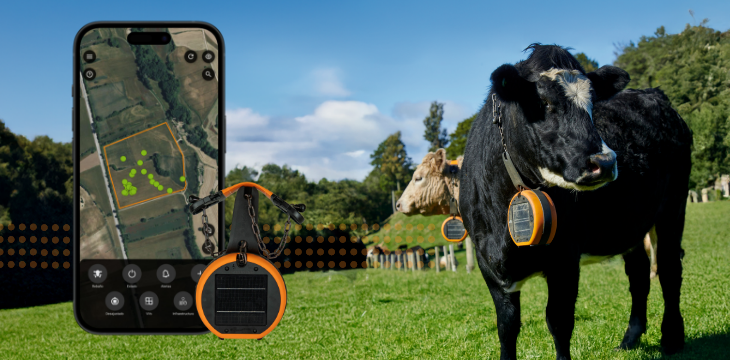 Imagen de una vaca en un campo con una representación del vallado virtual sobre la realidad, junto a un mockup de móvil con la aplicación que lo gestiona.