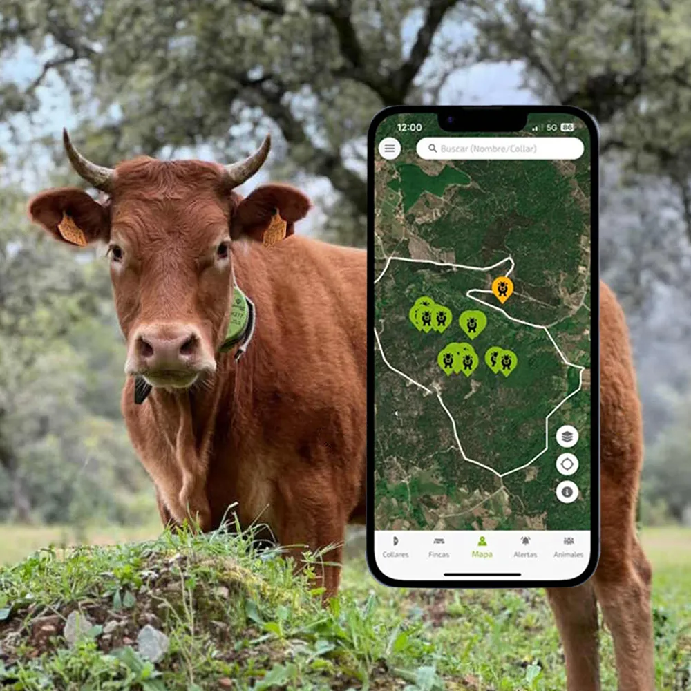 Digitanimal EVO – GPS Tracker - Image 2
