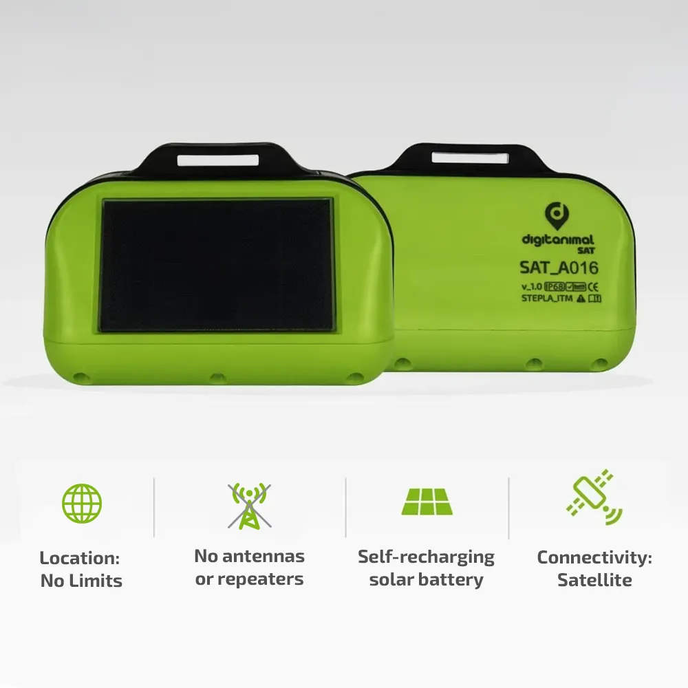 Image of the Digitanimal satellite tracking collar. The text describes its main features: Unlimited tracking, smart alert system, self-charging solar battery and NB-IoT satellite connectivity